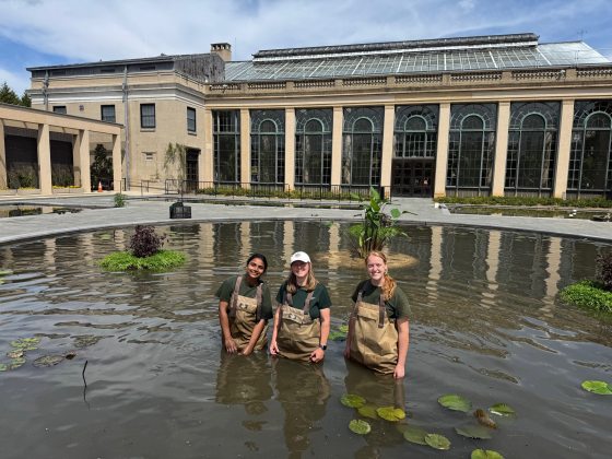 Three people in brown waders, standing shoulder to shoulder in a pool of waterlilies. 